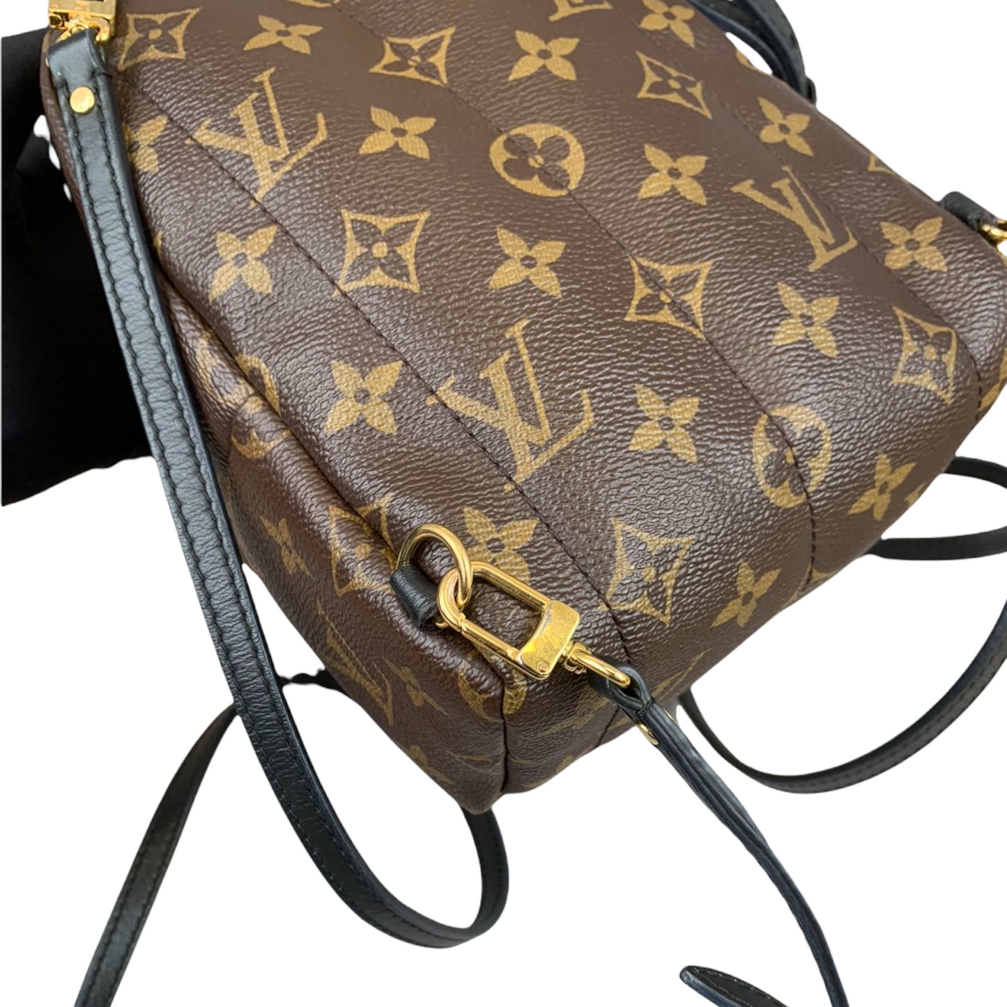 Louis-Vuitton Palm Springs Backpack Mini Monogram Canvas