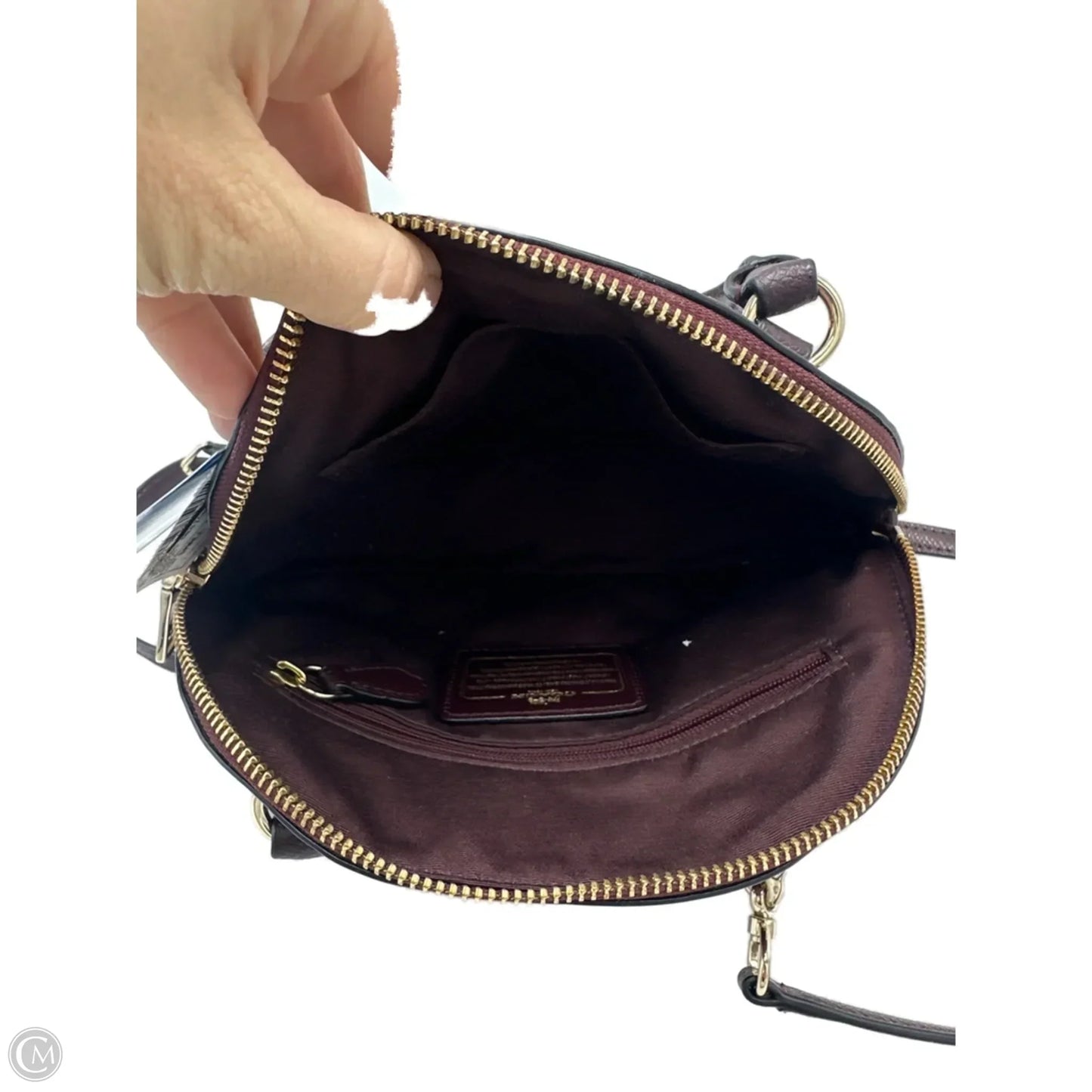 Handbag Designer By Coach