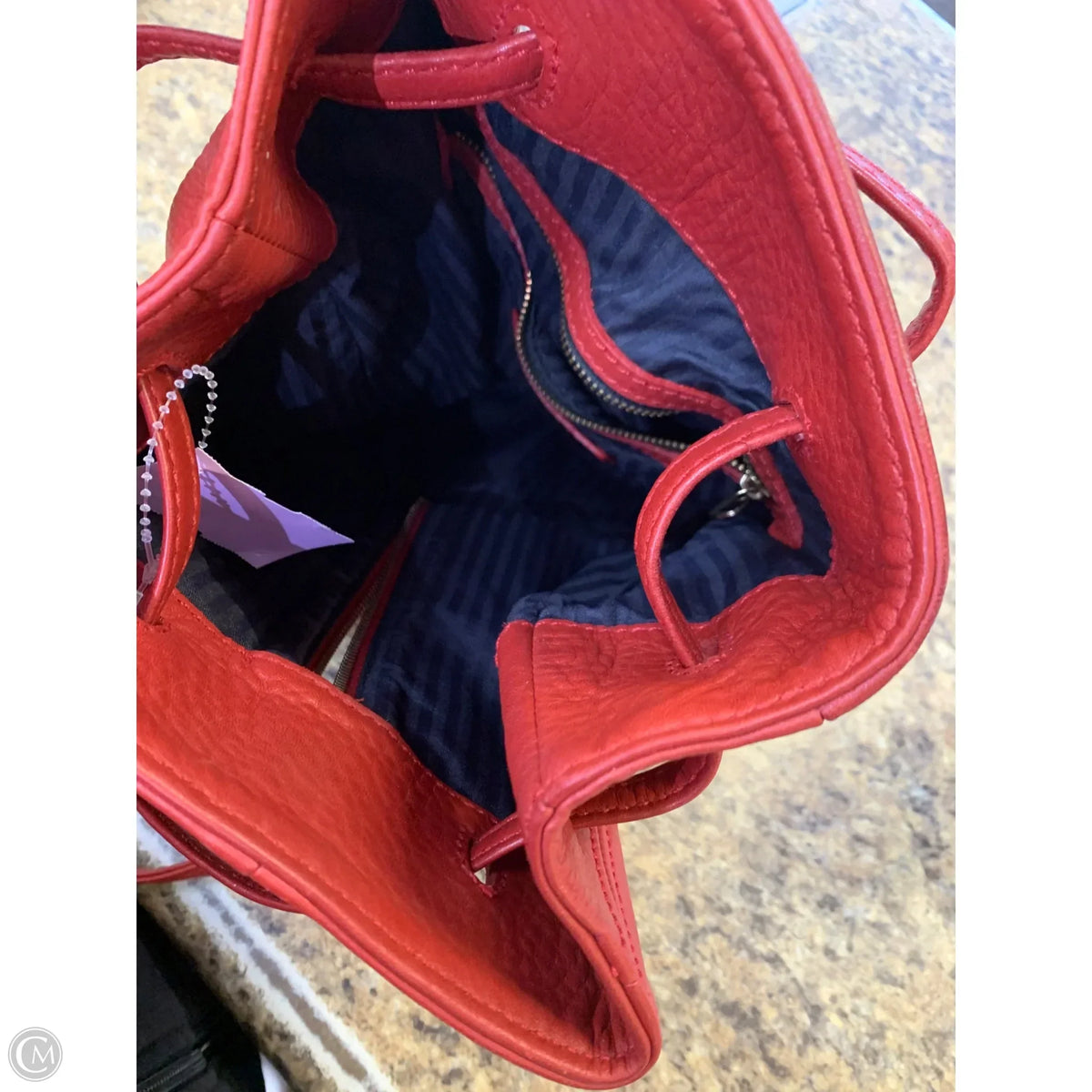 Backpack Designer By Coach, Size: Medium