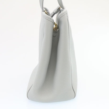 Celine Small fold Cabas Hand Bag 2way Shoulder Bag Light Blue  28800