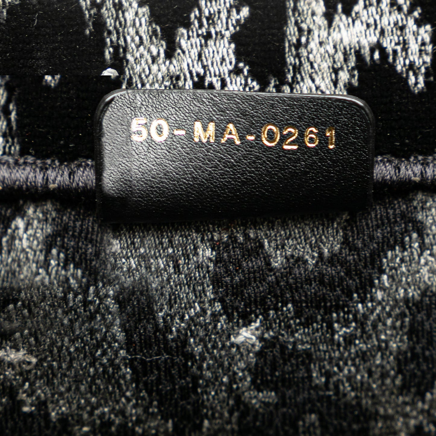 Mizza Medium Embroidered Canvas Leopard Book Tote