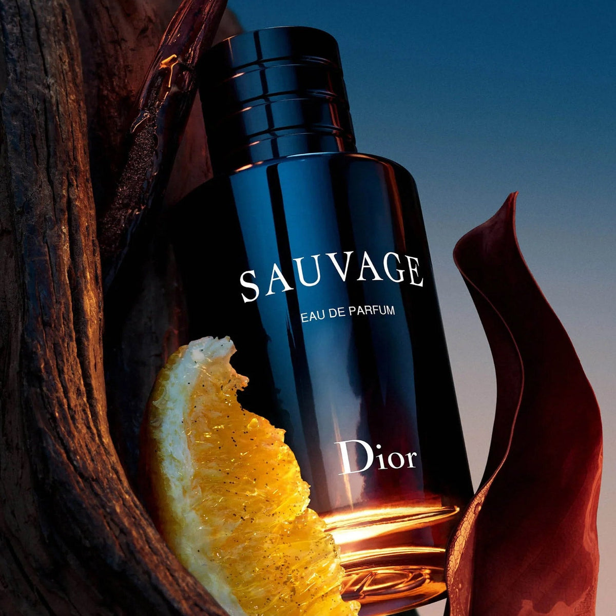 CD SAUVAGE MEN EDP 100ML