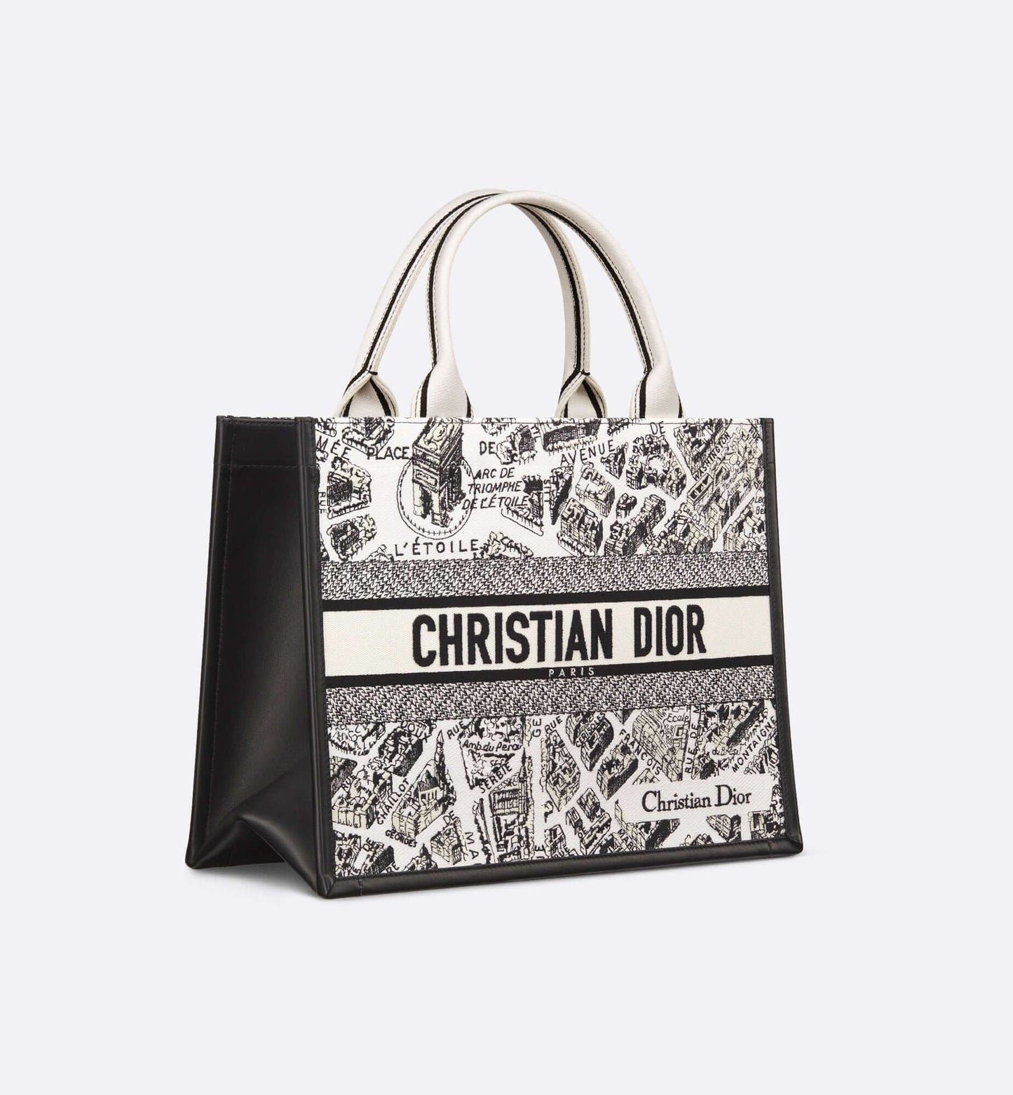 Dior Medium Dior Book Tote  medium Plan de Paris