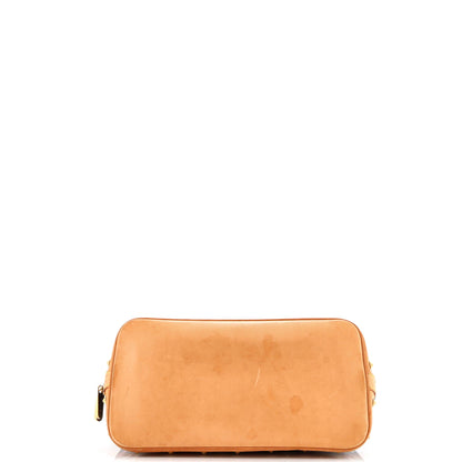 Alma Handbag Monogram Multicolor PM