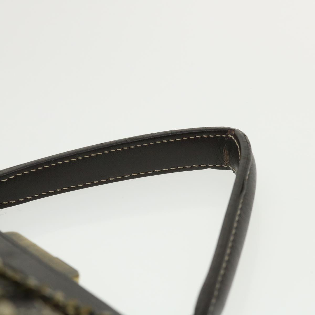 Celine Paris Macadam Canvas Hand Bag Beige  35578
