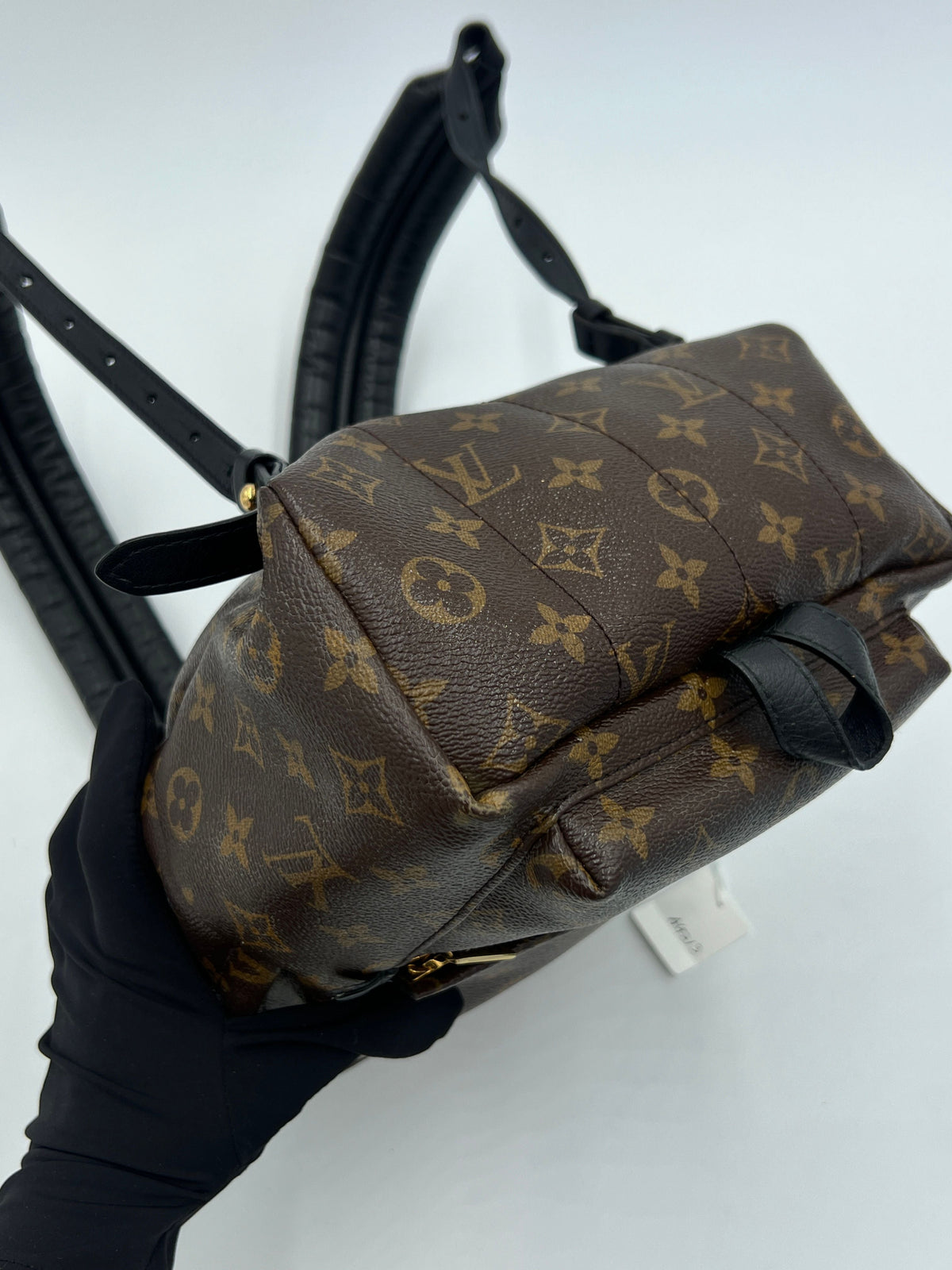 Louis Vuitton LV Monogram Palm Springs PM - Brown Backpacks, Handbags AG213O