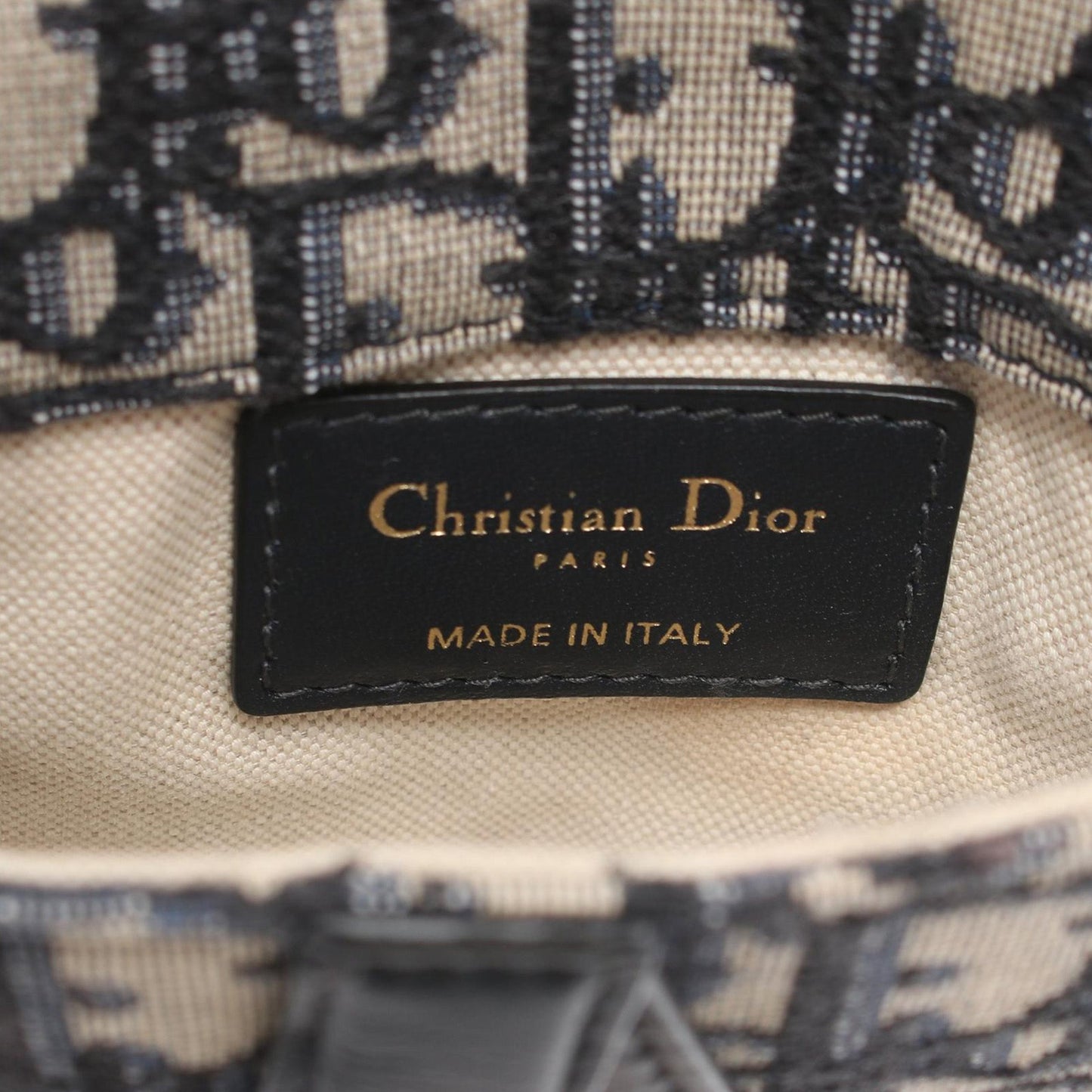 Oblique Canvas Saddle Belt Bag
