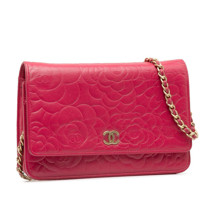 CHANEL Handbags Wallet On Chain Timeless/Classique