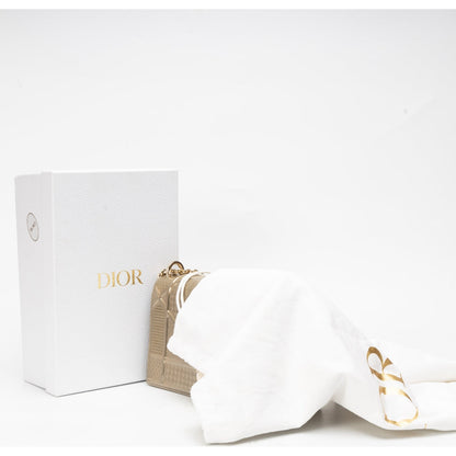 Dior Diorama Metallic Medium Crossbody Bag