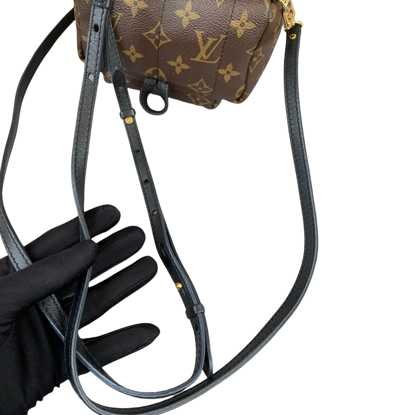 Louis-Vuitton Palm Springs Backpack Mini Monogram Canvas