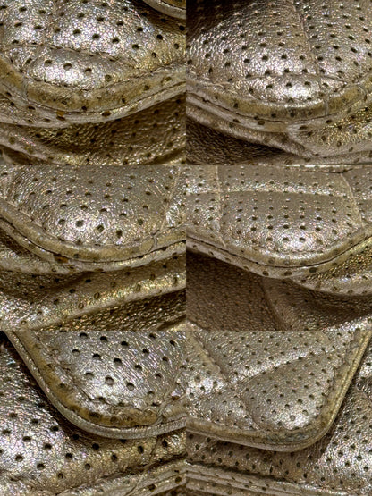 CHANEL WALLET ON CHAIN CHAMPAGNE