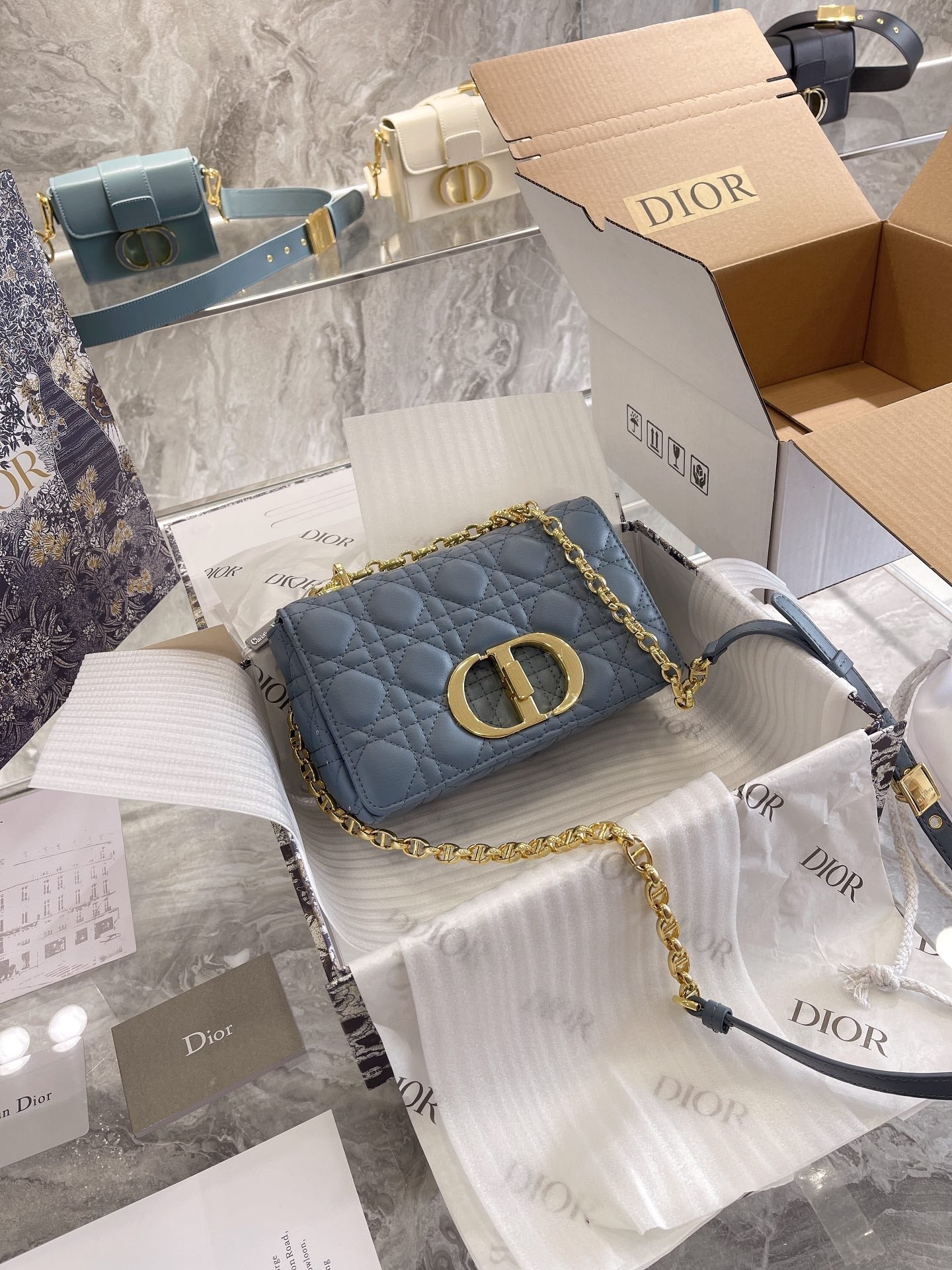 Luxury Edition Bags DIR 045
