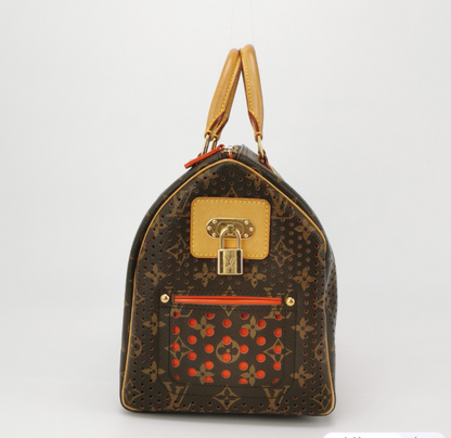 Louis Vuitton (LV) Speedy 30 bag 2008year brown 24122778999154
