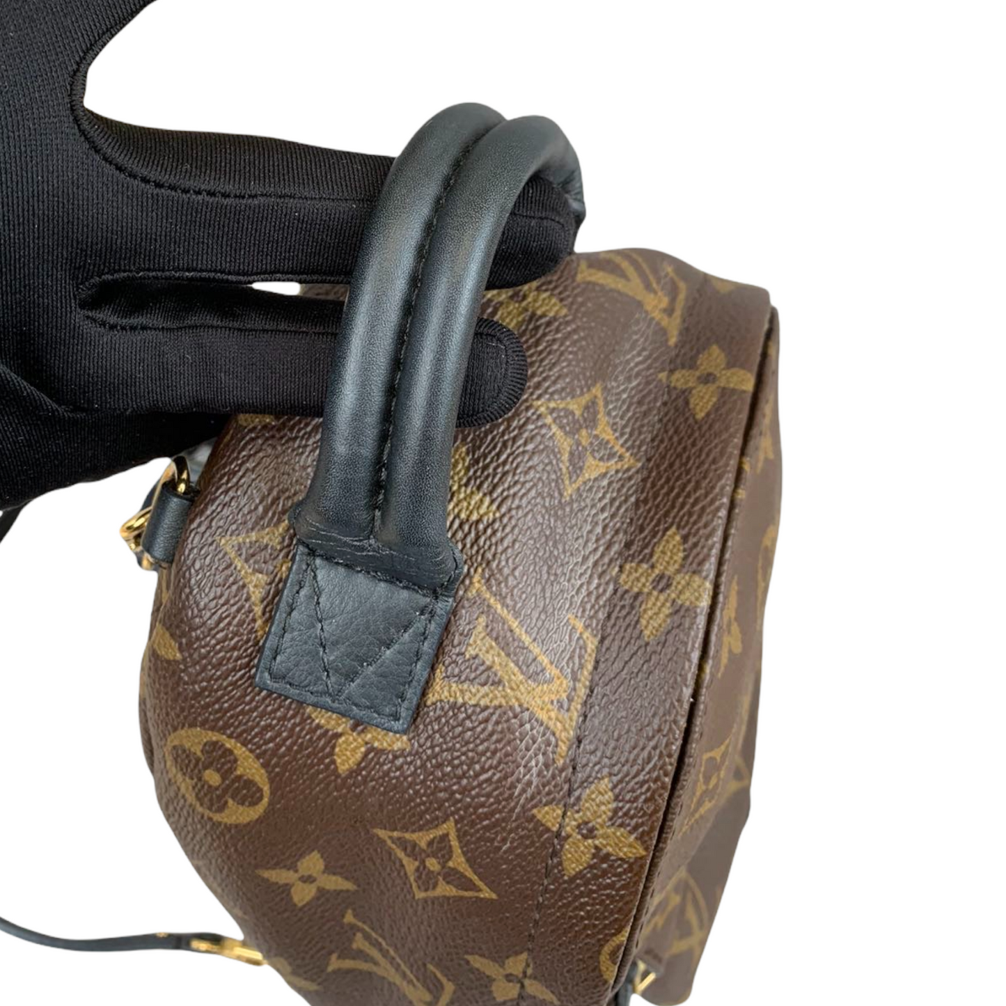 Louis-Vuitton Palm Springs Backpack Mini Monogram Canvas