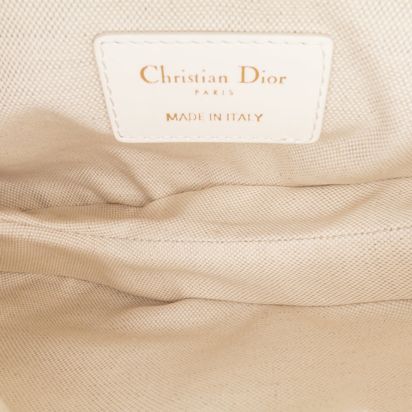 Mini Oblique Canvas Saddle