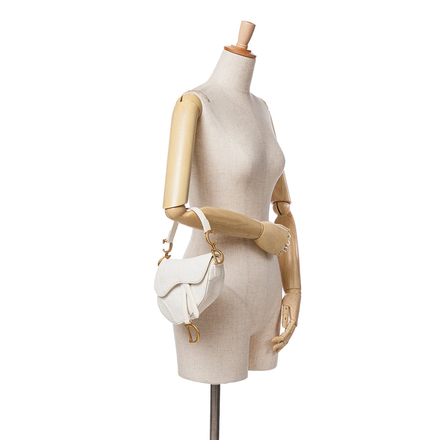 Mini Oblique Canvas Saddle