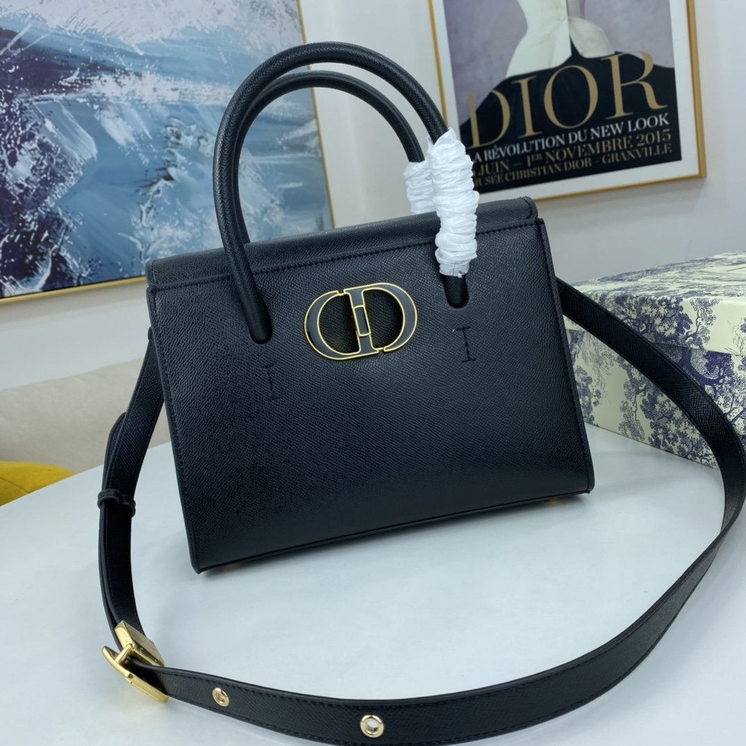 Luxury Edition Bags DIR 079