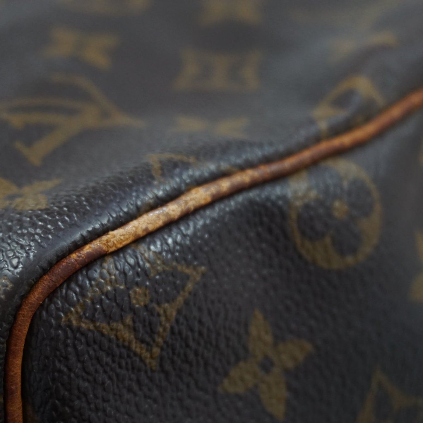 Louis Vuitton Speedy