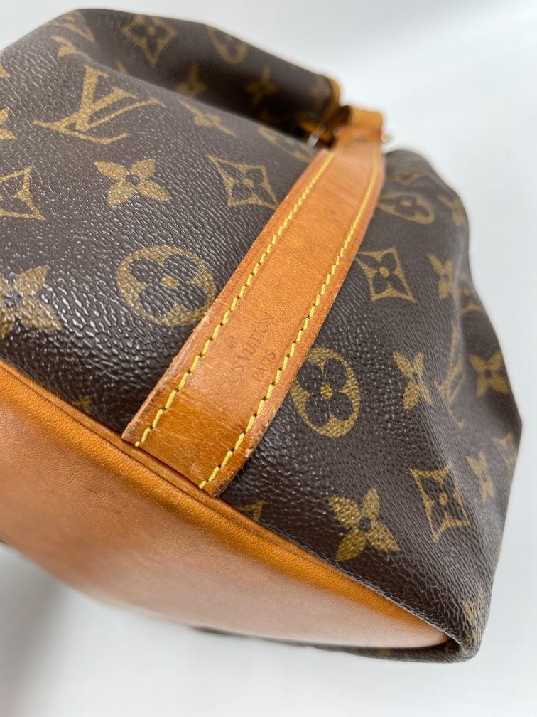 Louis Vuitton Petit Noé Bag