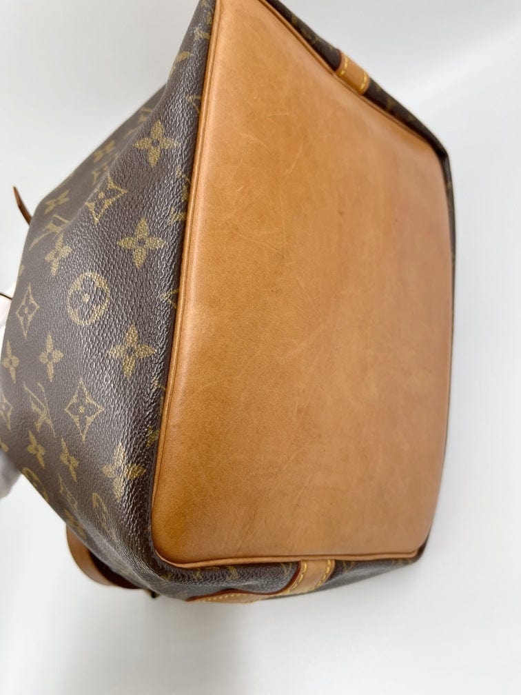 Louis Vuitton Petit Noé Bag