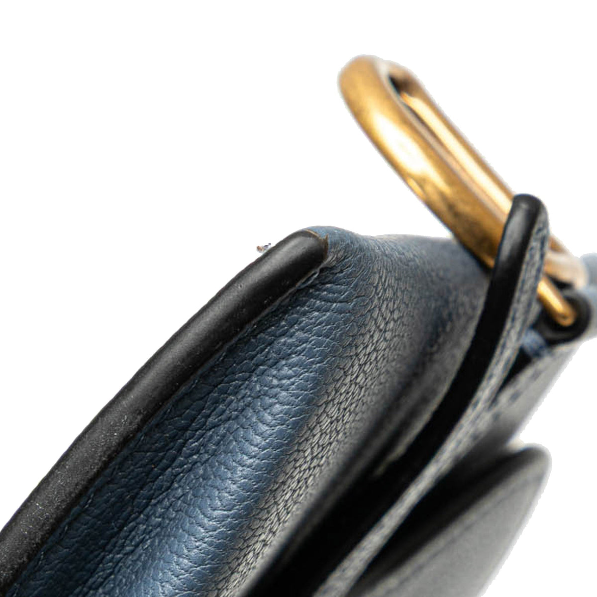 Nano Goatskin Saddle Chain Pouch