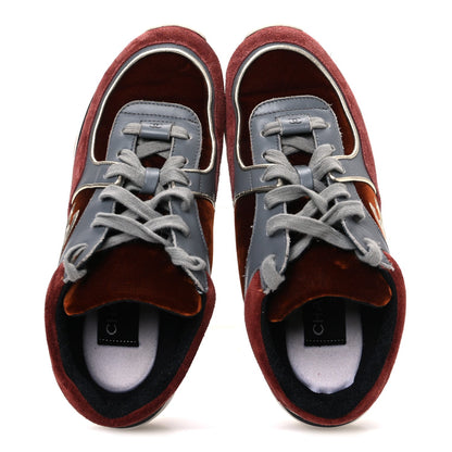 Suede Velvet Lambskin CC Sneakers 36 Burgundy Grey