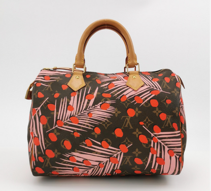 Louis Vuitton (LV) Speedy 30 bag 2016year 250312781102207