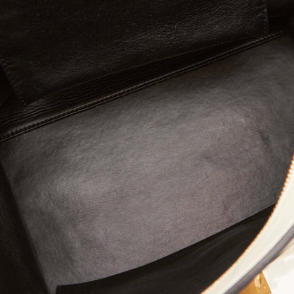 Celine Trapeze Suede and Calf Leather Bag