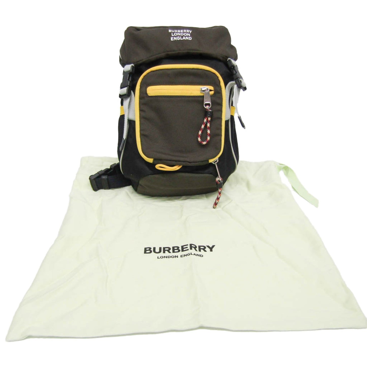 BURBERRY Leo Shopper