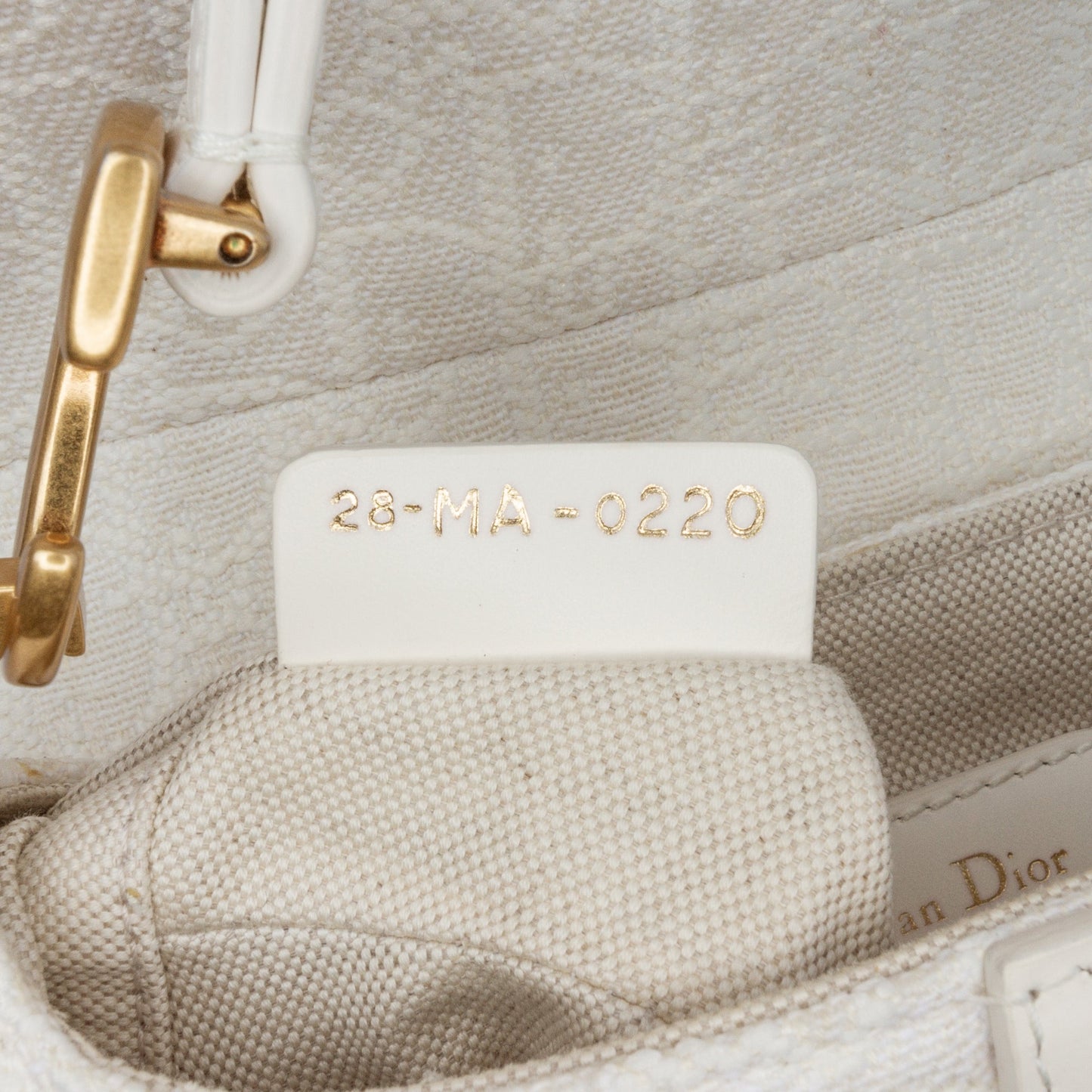 Mini Oblique Canvas Saddle Bag