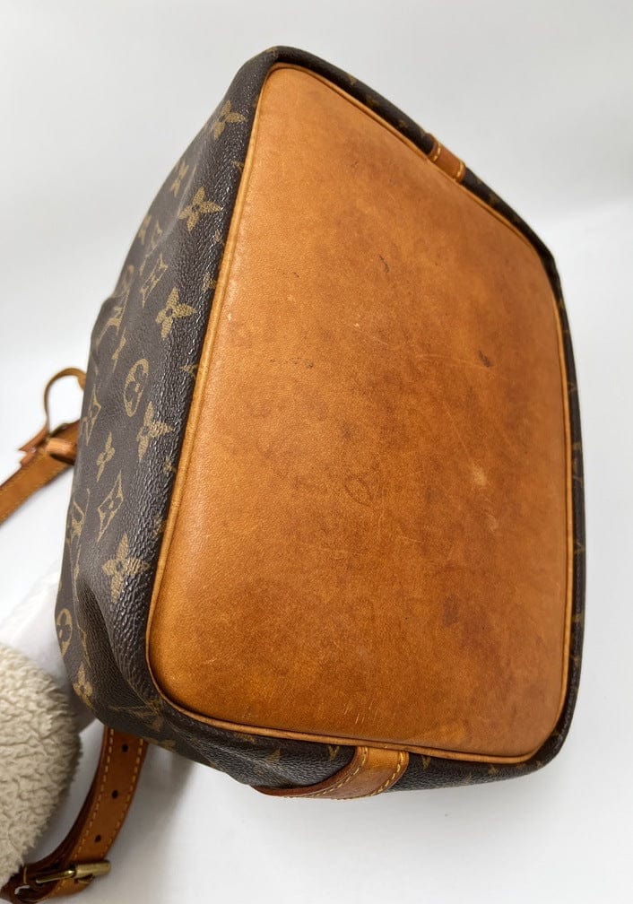 Louis Vuitton Petit Noé Bag