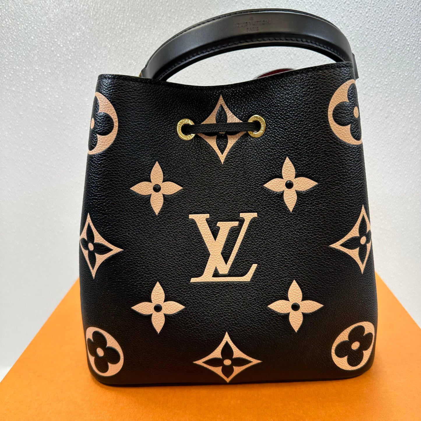 Handbag Designer By Louis Vuitton  Size: Medium