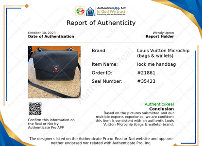 Handbag Luxury Designer By Louis Vuitton  Size: Medium