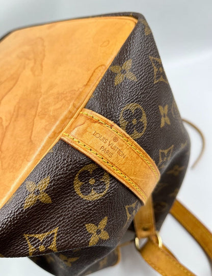 Louis Vuitton Petit Noé Bag