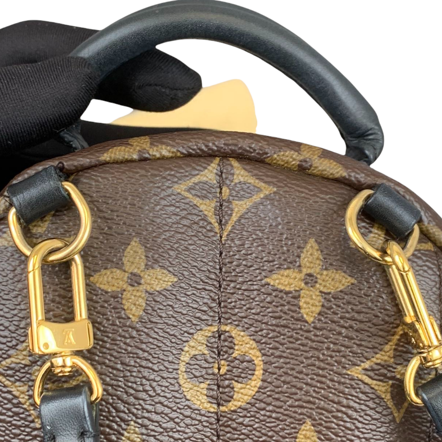 Louis-Vuitton Palm Springs Backpack Mini Monogram Canvas