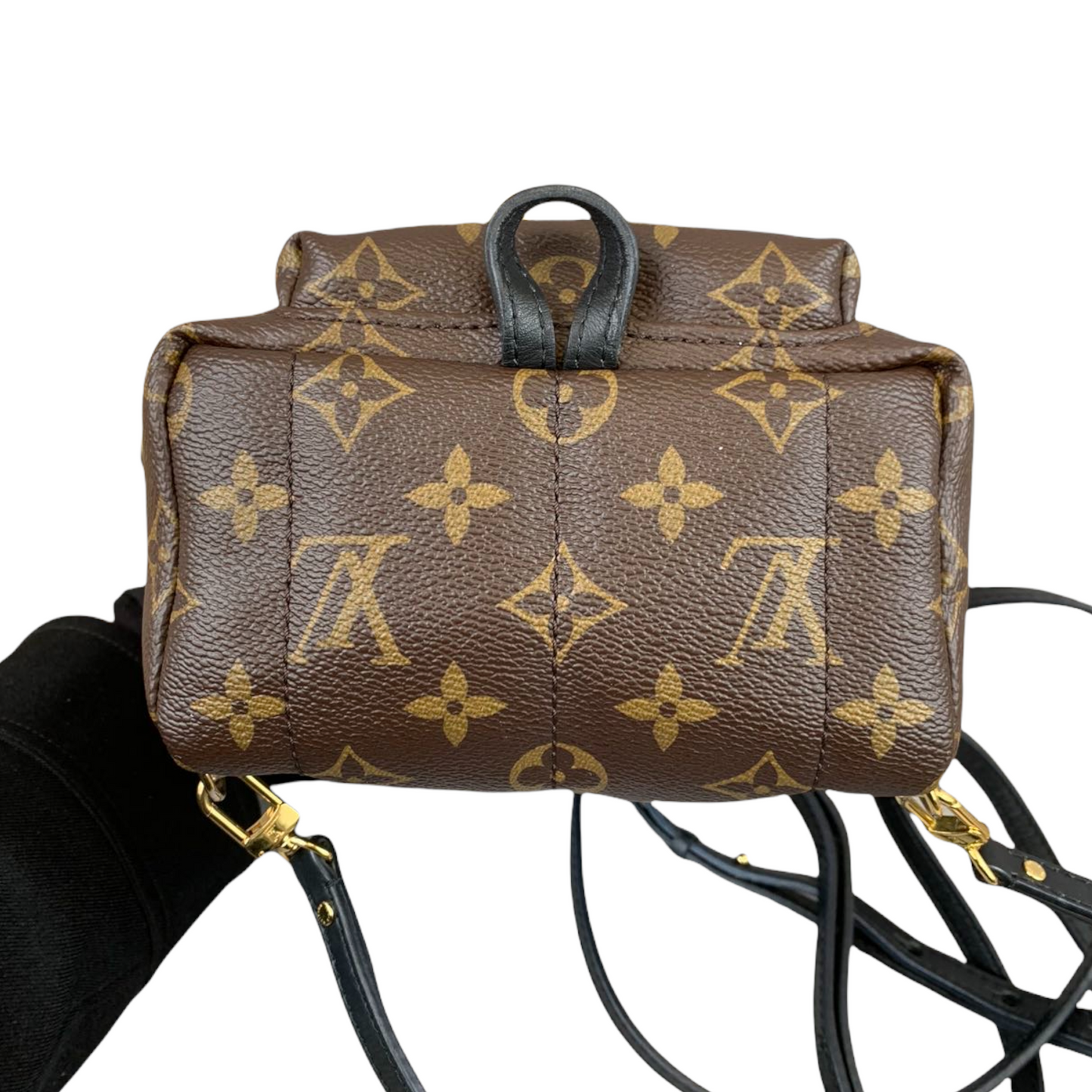 Louis-Vuitton Palm Springs Backpack Mini Monogram Canvas