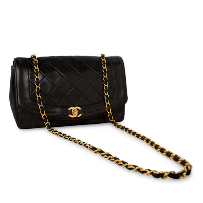 Diana Vintage Flap Bag