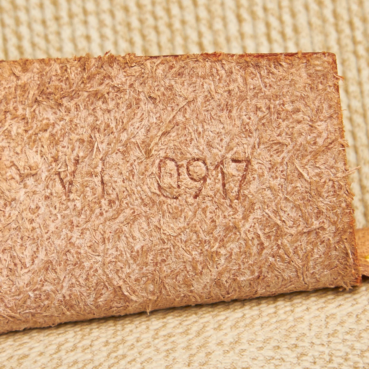 Louis-Vuitton Monogram Excursion in Brown with GHW