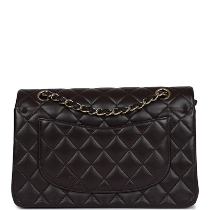 Chanel Small Classic Double Flap Bag Brown Lambskin Light Gold Hardware