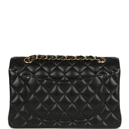 Chanel Small Classic Double Flap Bag Black Caviar Gold Hardware