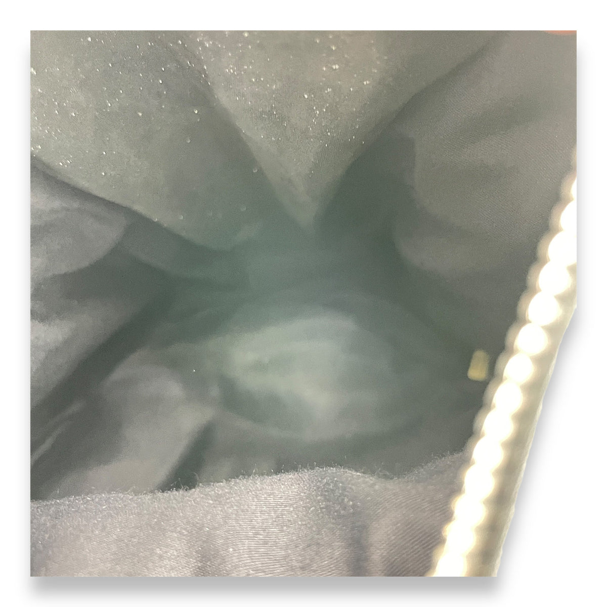 Is Back Silver Backpack in Iridescent Calfskin, Silver hardware