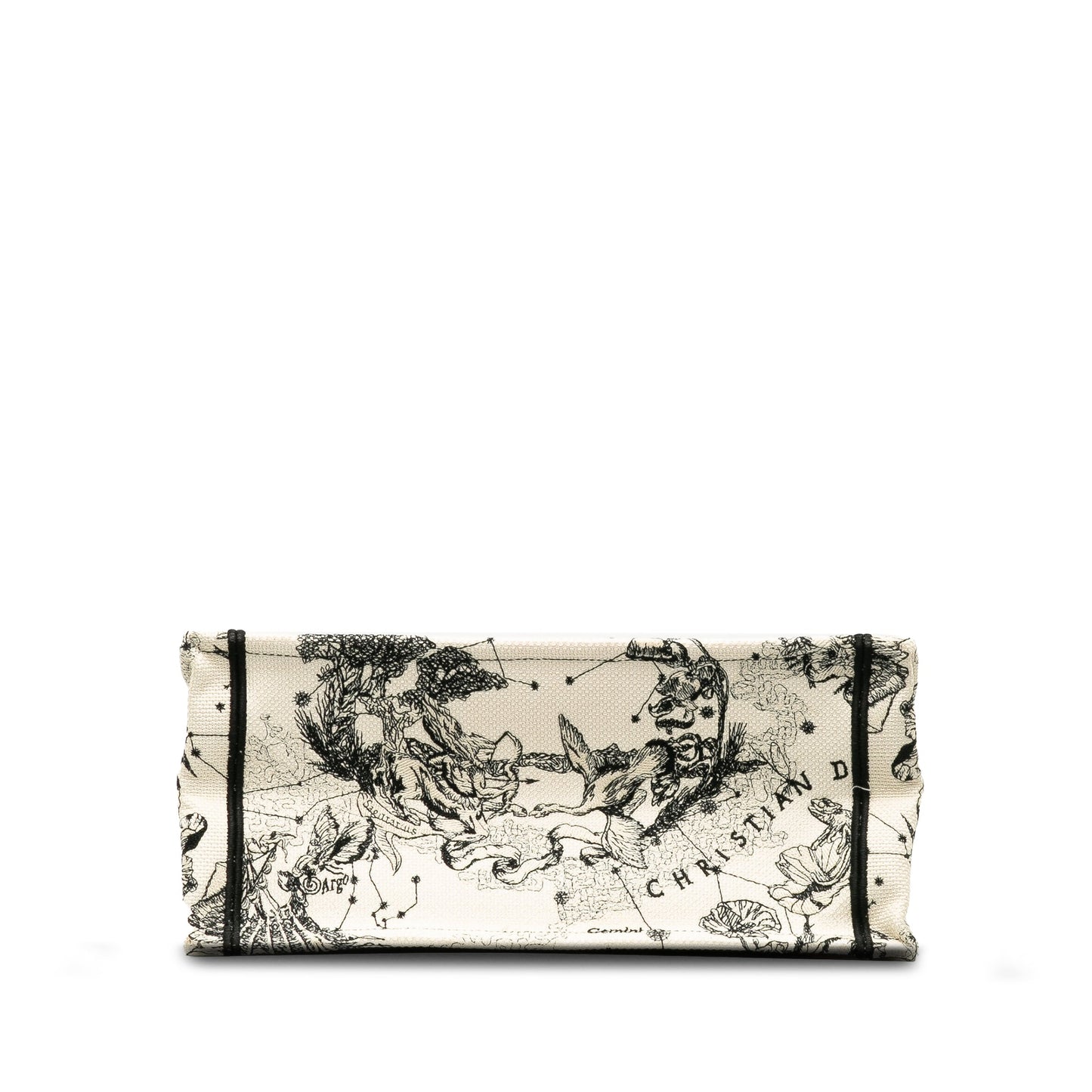 Small Zodiac Book Tote