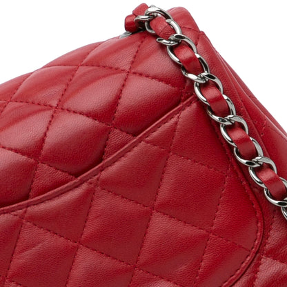 CHANEL Handbags Timeless/Classique