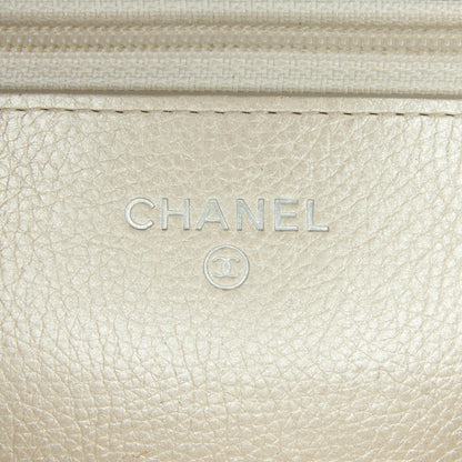 Chanel Iridescent Lambskin CC Wallet on Chain