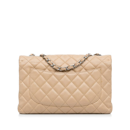 Chanel Jumbo Classic Caviar Single Flap Bag (SHG-HUCSq6)