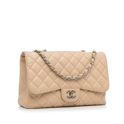 Chanel Jumbo Classic Caviar Single Flap Bag (SHG-HUCSq6)