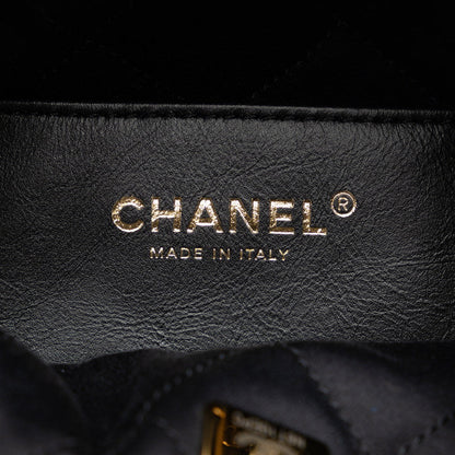 Camellia Chanel 22 Hobo Bag - '10s