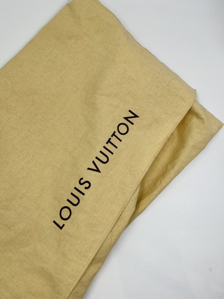 Louis Vuitton PM Bucket Tote Bag