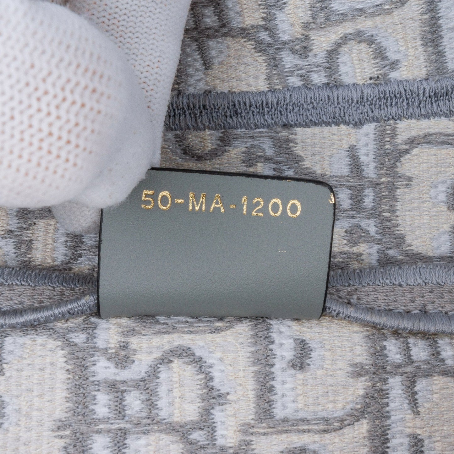 Oblique Embroidered Canvas Saddle Bag