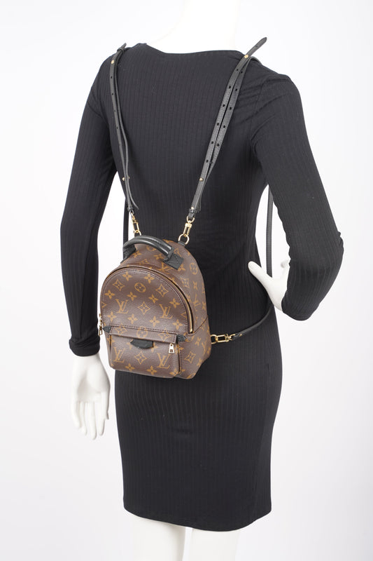 Louis Vuitton Womens Palm Springs Monogram Mini